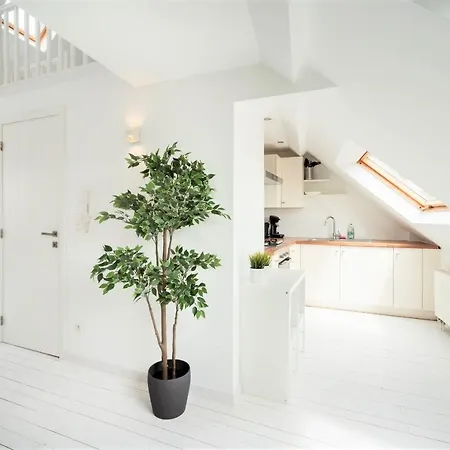 Beautiful Terrace In The Heart Of